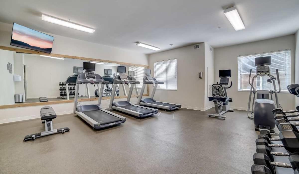 Spectacular 1bedroom I Dog Park